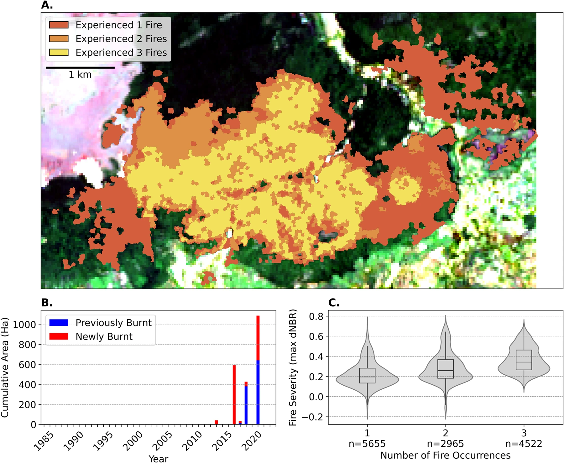 Figure 2: a map of repeated fires in northwestern Madagascar, cumulative burned area over time, and fire severity by number of fires.