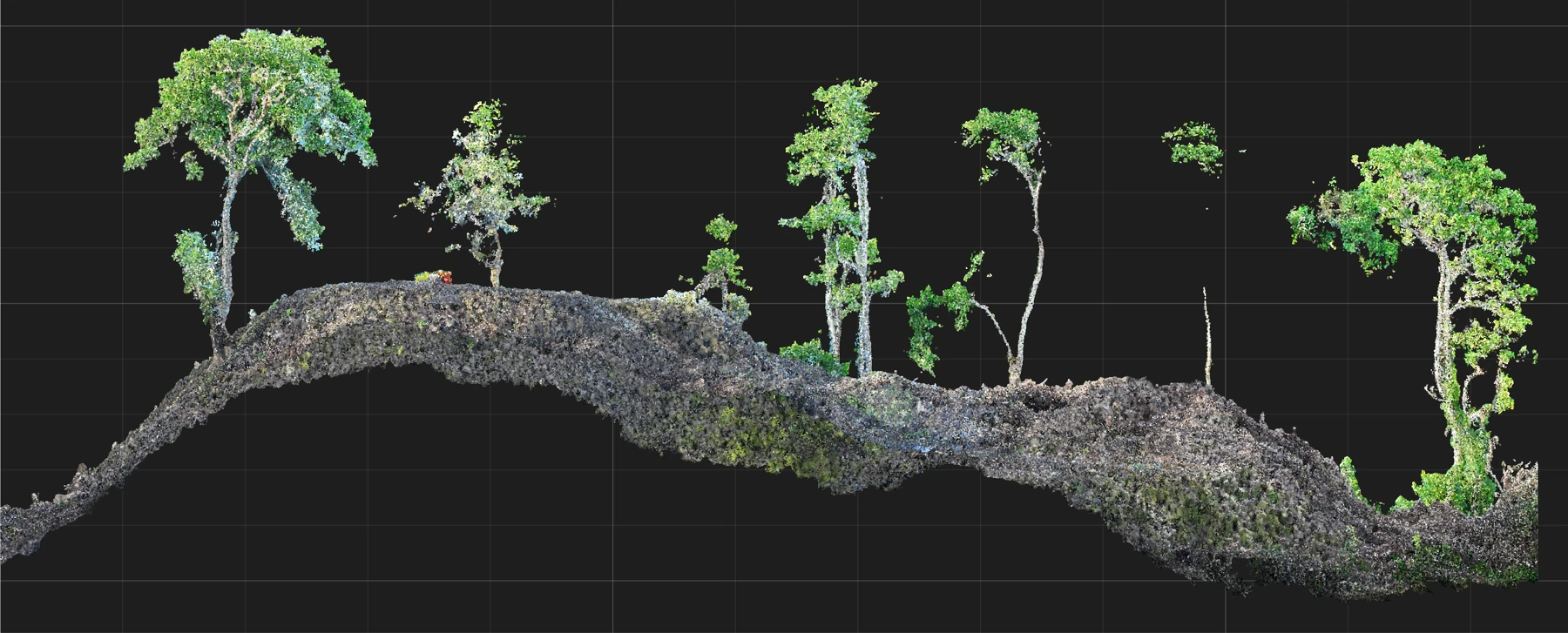 Pōtini point-cloud survey showing the megalithic landform and surrounding trees.
