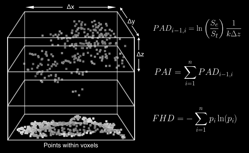 LiDAR points divided into vertical voxels beside equations for plant area density, plant area index and foliage height diversity.